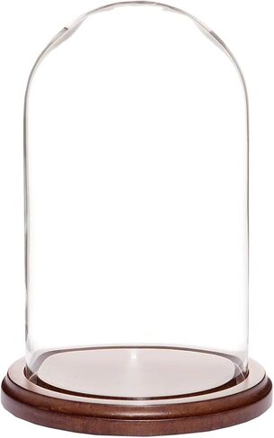 Plymor 4.5" x 8" Glass Display Dome Cloche (Black MDF Wood Base) in Saudi Arabia