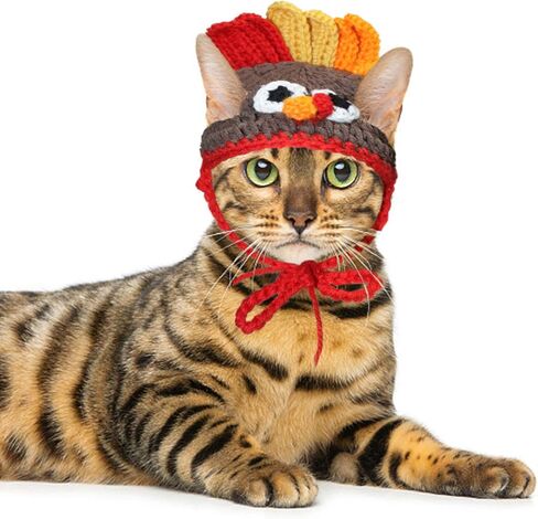 رايبت زي الديك الرومي للقطط - قبعة تركيا للحيوانات الاليفة لعيد الشكر للقطط والكلاب الصغيرة in Kuwait