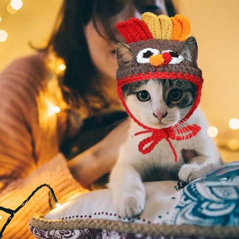 رايبت زي الديك الرومي للقطط - قبعة تركيا للحيوانات الاليفة لعيد الشكر للقطط والكلاب الصغيرة in Kuwait