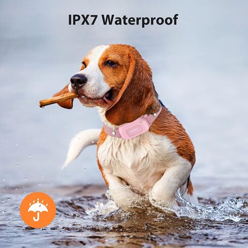 طوق تدريب الكلاب PATPET للكلاب المتوسطة - طوق صدمات للكلاب مع جهاز تحكم عن بعد، طوق صدمات للكلاب الصغيرة بوزن 20-30 رطل، قابل لإعادة الشحن IPX7 مقاوم للماء مع أوضاع صدمة اهتزاز الصفير in Kuwait
