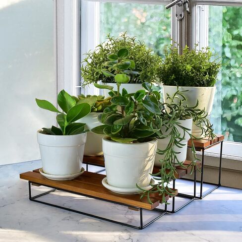 Walnut Wood Wooden Cupcake Stand 3-Tier Wooden Display Stand with Black Metal Base, Rectangle Tower Display Stands for Vendor Events Walnut Wood (12" Set) in Kuwait