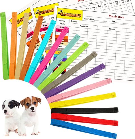 Caninary 15 Different Colored Puppy Collars for Litter with 6 Record Keeping Charts, Adjustable Puppy Collars for Small Puppies, Serving as Soft Nylon Puppy Identification Collars in Saudi Arabia