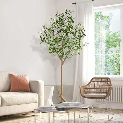 شجرة زيتون صناعية بطول 6 أقدام نبات حرير صناعي شجرة زيتون مزيفة بوعاء مع زارع فروع صناعية كبيرة وفواكه واقعية لتزيين أرضية غرفة المعيشة والمكتب المنزلي الحديث في الأماكن المغلقة - قطعتان in Kuwait