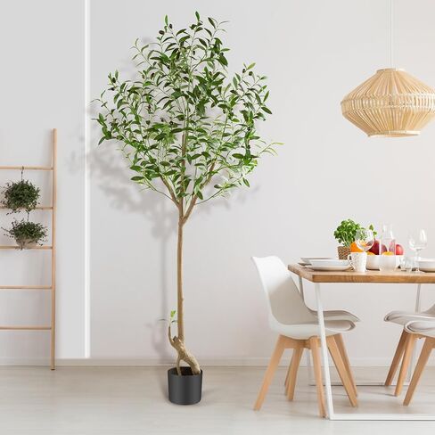 شجرة زيتون صناعية بطول 6 أقدام نبات حرير صناعي شجرة زيتون مزيفة بوعاء مع زارع فروع صناعية كبيرة وفواكه واقعية لتزيين أرضية غرفة المعيشة والمكتب المنزلي الحديث في الأماكن المغلقة - قطعتان in Kuwait