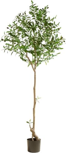 شجرة زيتون صناعية بطول 6 أقدام نبات حرير صناعي شجرة زيتون مزيفة بوعاء مع زارع فروع صناعية كبيرة وفواكه واقعية لتزيين أرضية غرفة المعيشة والمكتب المنزلي الحديث في الأماكن المغلقة - قطعتان in Kuwait