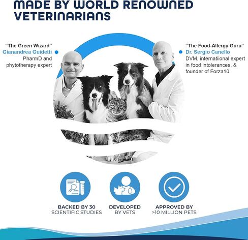 Forza10 Legend Skin Wet Dog Food, Omega 3 Canned Dog Food Grain Free Sensitive Skin Health, Dry Skin Fur Loss, 13.7 oz, Salmon, Adult Dogs, 12 Case in Kuwait