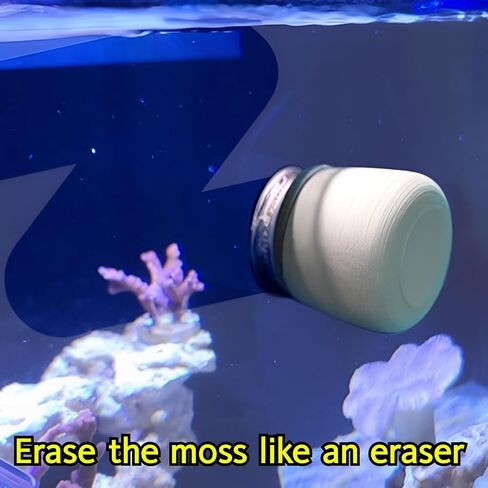 Minfactory Corner Moss Magnet 10T: منظف ممتاز لأحواض السمك لخزانات الزجاج والأكريليك حتى 10T - إزالة الطحالب والقشور في خزان الأسماك باستخدام مكشطة مقاومة للماء - مثالي للبيئات الغنية بالنباتات in Kuwait