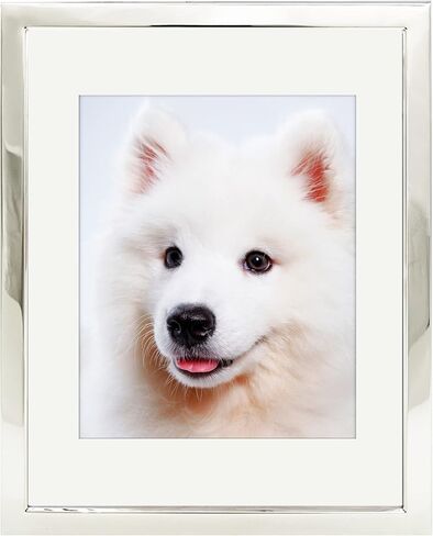 DECANIT 5x7 Picture Frames Silver Metal Photo Frames For Tabletop Display and Wall Decoration-Best Gifts For Family in Saudi Arabia