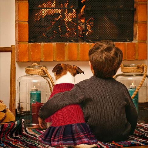 سترة FUAMEY للكلاب، سترة دافئة لعيد الميلاد للكلب، سترة كلاسيكية منقوشة بياقة مدورة، سترة تريكو للكلاب في الطقس البارد، بلوفر للكلاب الصغيرة والمتوسطة والجراء والقطط، وكلاب البلدغ، فصيل كورجي مع فتحة للمقود in Kuwait