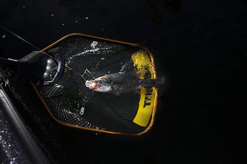Frabill Trophy Haul Power Extend Fishing Net | Premium Landing Net with Built in Light and Telescoping Handle | Available in Multiple Hoop Sizes in Kuwait