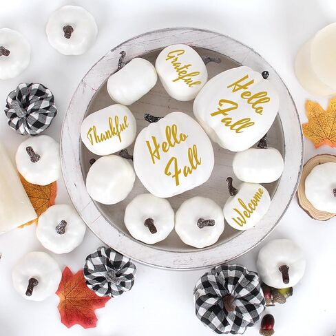 c appok زخارف الخريف اليقطين الأبيض الاصطناعي، 21pcs أحجام متنوعة القرع وهمية لديكور عيد الهالوين، فو ريفي حصاد اليقطين لعيد الشكر الخريف داخلي في الهواء الطلق ديكور المنزل in Kuwait