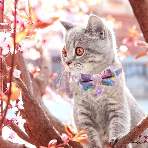 Cat Collars,HYQHYX Floral Bow Collar with Bell, Removable Cat Collar with Tie, Cute cat Collar for Cats and Puppies in Kuwait