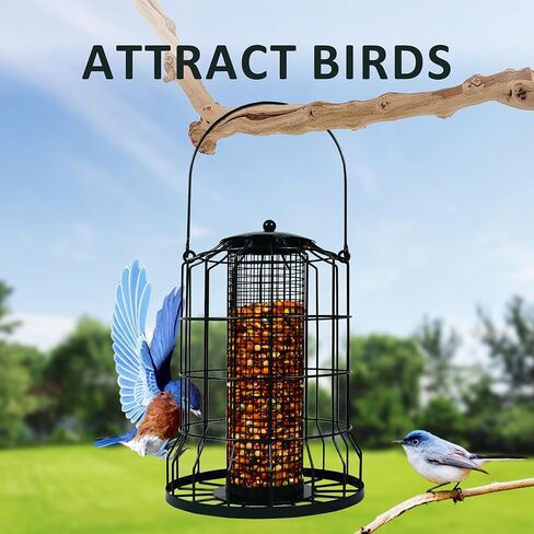iPetba Bird Feeders in Kuwait