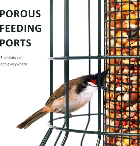 iPetba Bird Feeders in Kuwait