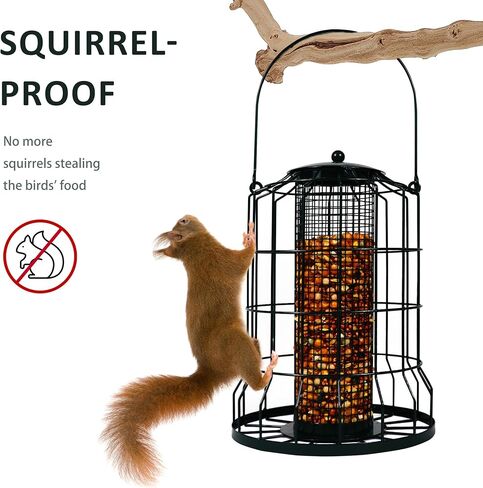 iPetba Bird Feeders in Kuwait