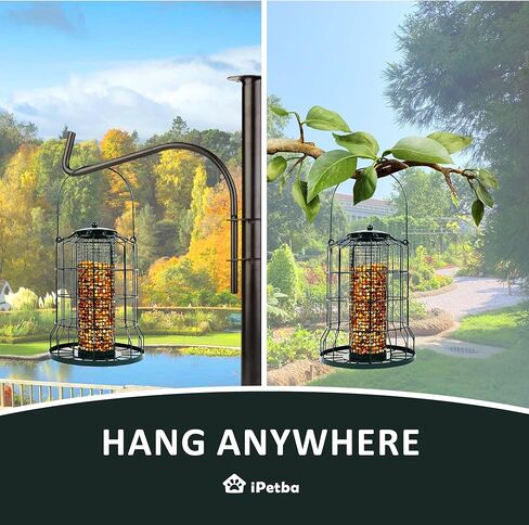 iPetba Bird Feeders in Kuwait