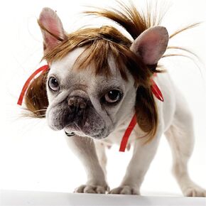 Dog Red Wig Pet Funny Costumes Cat Cosplay Hair Decoration Headwear for Halloween Christmas Eve Festival (DD)