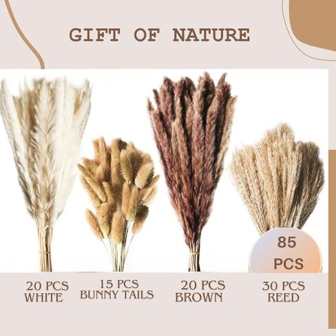 Natural Dried Pampas Grass Decor [85 Pcs Set] Pompas Flowers Bouquet and Dry Pampass Grass for Home Decorations, Autumn Floral Boho Decor, Phragmites Wedding Decoration Arrangements in Saudi Arabia