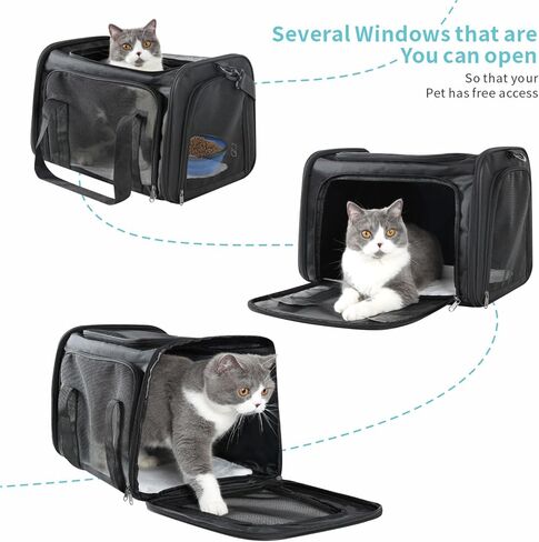 MIFAFA Pet Big Cat Rabbit Puppy Dog Body Large Medium Small Soft Car 18x11x11 Collapsible Travel Transport Cage Carrier Bag 0-15 15-20 lbs TSA Mr Peanuts Delta Southwest FAA Airline Approved(Large) in Kuwait