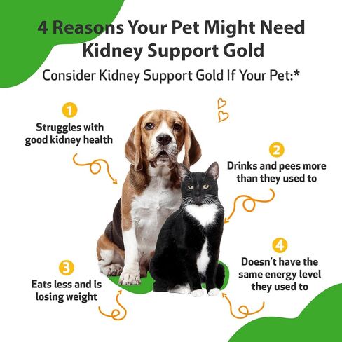 Pet Wellbeing Kidney Support Gold for Dogs & Cats - Vet-Formulated - Supports Healthy Kidney Function - Natural Herbal Supplement 4 oz (118 ml) in Kuwait