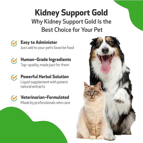 Pet Wellbeing Kidney Support Gold for Dogs & Cats - Vet-Formulated - Supports Healthy Kidney Function - Natural Herbal Supplement 4 oz (118 ml) in Kuwait