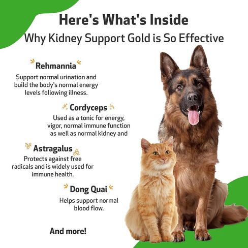 Pet Wellbeing Kidney Support Gold for Dogs & Cats - Vet-Formulated - Supports Healthy Kidney Function - Natural Herbal Supplement 4 oz (118 ml) in Kuwait