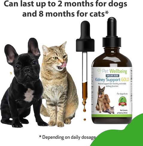 Pet Wellbeing Kidney Support Gold for Dogs & Cats - Vet-Formulated - Supports Healthy Kidney Function - Natural Herbal Supplement 4 oz (118 ml) in Kuwait