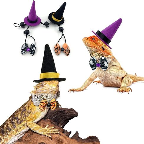 Vehomy 2 Sets Bearded Dragon Halloween Costume- Lizard Halloween Witch Hat Hamster Halloween Hat Bearded Dragon Bowties Reptile Halloween Hat Bowtie Costume for Hamster Lizard Bird Parrot 4pcs in Saudi Arabia