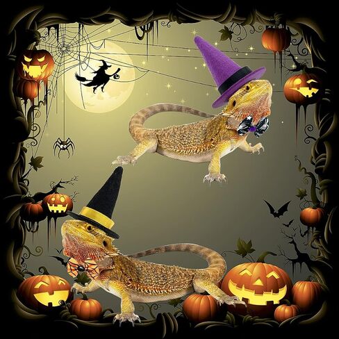 Vehomy 2 Sets Bearded Dragon Halloween Costume- Lizard Halloween Witch Hat Hamster Halloween Hat Bearded Dragon Bowties Reptile Halloween Hat Bowtie Costume for Hamster Lizard Bird Parrot 4pcs in Saudi Arabia