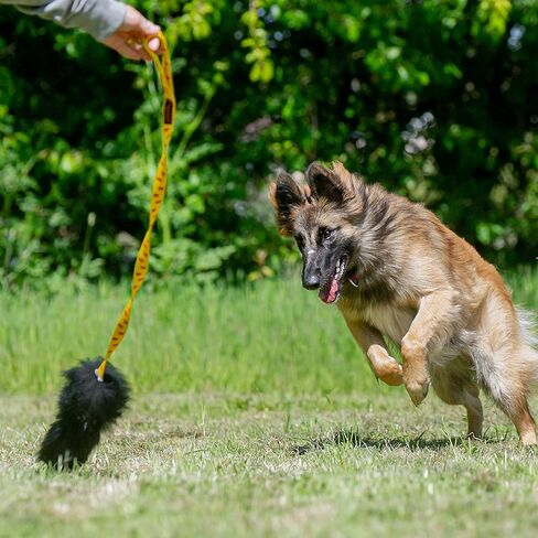 Tug-E-Nuff Dog Gear - قاطرة مطارد جلد الغنم in Kuwait