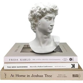 Greek Statue of David - Head Bust Statue Decor - David Statue for Greek Mythology Decor - Greek Bust for Roman Home Decor - Greek Statue Decor in Saudi Arabia
