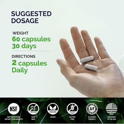 KORESELECT Elderberry Capsules with Panax Ginseng - Immune Support, 6-in1 Herbal Blend with Zinc, Ginger, Echinacea, Reishi Mushrooms - 60 Capsules in Kuwait