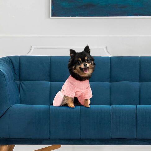 Juicy Couture Bling it On Cheer Dog Dress – Pullover Design Puppy Shirt with Elasticated Waistline and Flared Skirt, Doggie Clothes for Convenient Bathroom Breaks, X-Small (2-4 lbs.) in Kuwait