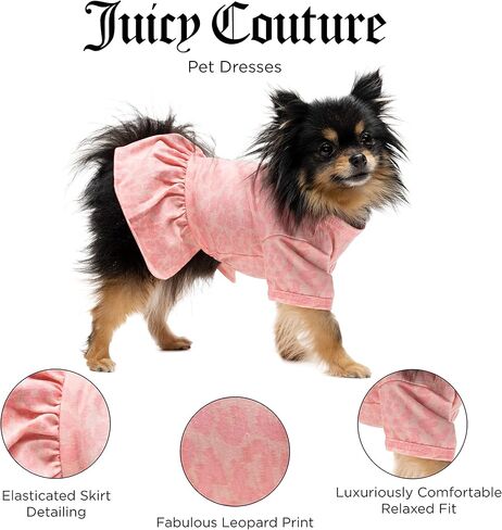 Juicy Couture Bling it On Cheer Dog Dress – Pullover Design Puppy Shirt with Elasticated Waistline and Flared Skirt, Doggie Clothes for Convenient Bathroom Breaks, X-Small (2-4 lbs.) in Kuwait