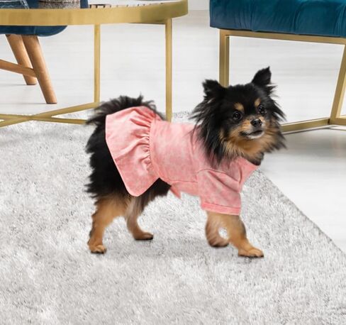 Juicy Couture Bling it On Cheer Dog Dress – Pullover Design Puppy Shirt with Elasticated Waistline and Flared Skirt, Doggie Clothes for Convenient Bathroom Breaks, X-Small (2-4 lbs.) in Kuwait