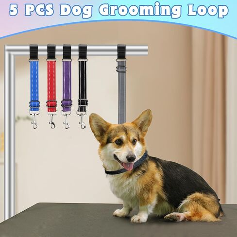 yuepet 5 حزمة الكلب الاستمالة الملحقات الذراع تمديد حزام، قابل للتعديل الكلب الاستمالة حلقة مع قفل المقود للكلاب الاستمالة الجدول مساعد حلاق in Kuwait