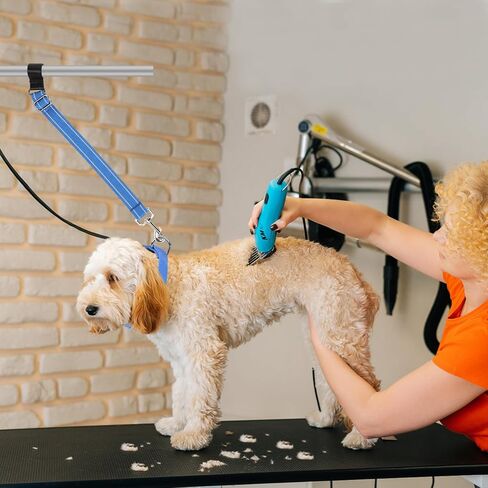 yuepet 5 حزمة الكلب الاستمالة الملحقات الذراع تمديد حزام، قابل للتعديل الكلب الاستمالة حلقة مع قفل المقود للكلاب الاستمالة الجدول مساعد حلاق in Kuwait