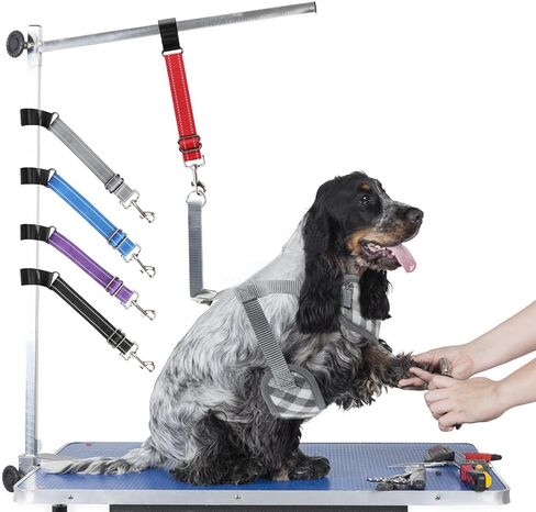 yuepet 5 حزمة الكلب الاستمالة الملحقات الذراع تمديد حزام، قابل للتعديل الكلب الاستمالة حلقة مع قفل المقود للكلاب الاستمالة الجدول مساعد حلاق in Kuwait