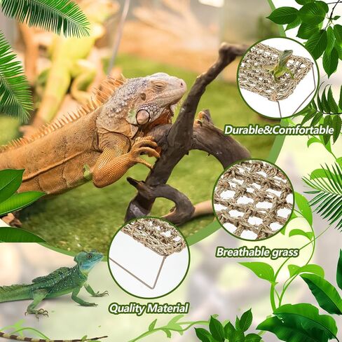 Soaoo 2 Pcs Lizard Lounger for Rest Rectangle Reptile Hammock Bed Grass Fibers Bearded Dragon Bed Gecko Climbing Accessories for Habitats Small Animals Guinea Pig Snake Iguana Amphibian Hermit Crab in Saudi Arabia