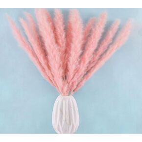 ديكور عشب بامباس المجفف، عشب بامباس الوردي لترتيبات الأزهار ديكور بوهو، ديكور طبيعي إكليل من العشب أبهى ديكور الزفاف in Kuwait