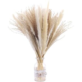 50 قطعة 40 سم من عشب البامبا الطبيعي المجفف بلون ابيض بوهو لديكور المنزل، زهور مجففة طبيعية للمزهريات وباقة زهور الفراغميت البيضاء وديكور حفلات الزفاف والعطلات in Kuwait
