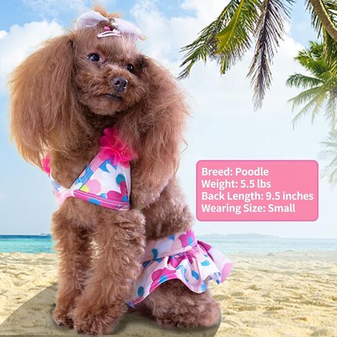 KYEESE Dogs Bikini for Small Dogs Floral Dog Beach Swimsuit Dog Tutu Dresses Dogs Clothes for Summer, Floral, L in Saudi Arabia