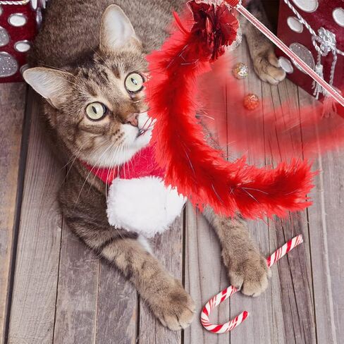 باوتشي جوارب الكريسماس للقطط - مجموعة العاب تفاعلية للقطط الصغيرة مكونة من 14 قطعة in Kuwait