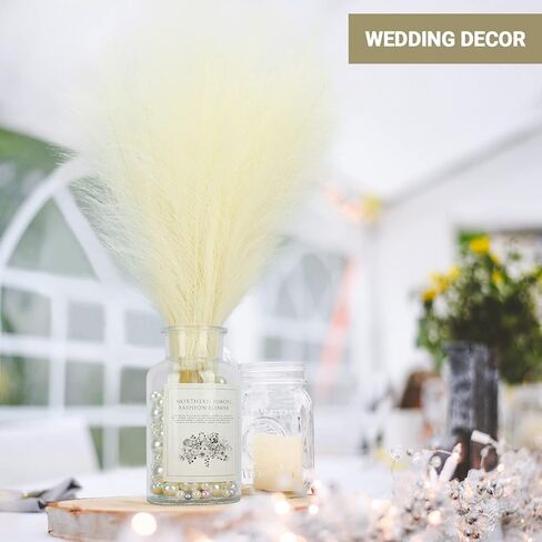 6 قطع من عشب بامباس الصناعي من سوريام، عشب بامباس صغير مجفف مقاس 17 بوصة، زهور طبيعية مجففة اصطناعية لغرفة المعيشة وغرفة النوم والمكتب والمطبخ وديكور الزفاف ومزرعة بوهو، أبيض in Kuwait