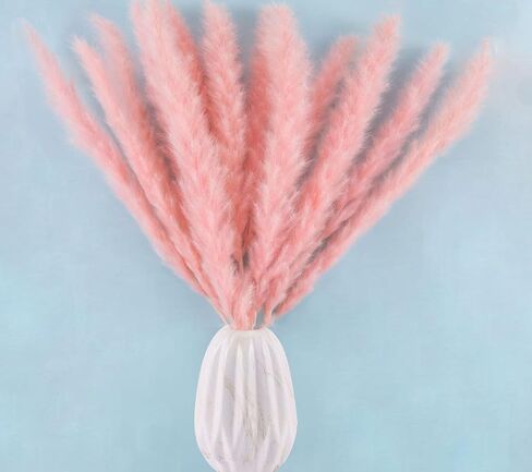 ديكور عشب بامباس المجفف، عشب بامباس الوردي لترتيبات الأزهار ديكور بوهو، ديكور طبيعي إكليل من العشب أبهى ديكور الزفاف in Kuwait