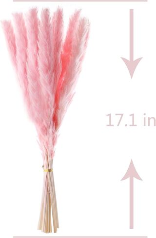 ديكور عشب بامباس المجفف، عشب بامباس الوردي لترتيبات الأزهار ديكور بوهو، ديكور طبيعي إكليل من العشب أبهى ديكور الزفاف in Kuwait