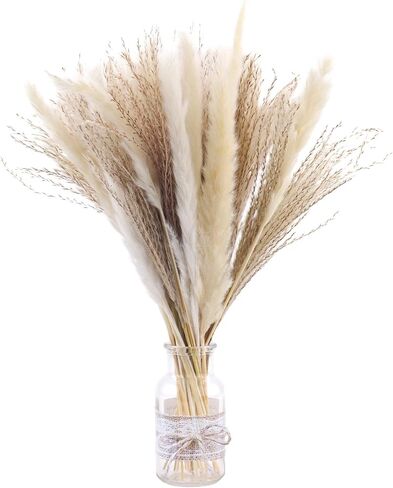 50 قطعة 40 سم من عشب البامبا الطبيعي المجفف بلون ابيض بوهو لديكور المنزل، زهور مجففة طبيعية للمزهريات وباقة زهور الفراغميت البيضاء وديكور حفلات الزفاف والعطلات in Kuwait