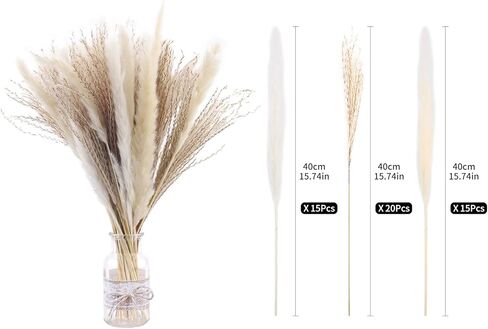 50 قطعة 40 سم من عشب البامبا الطبيعي المجفف بلون ابيض بوهو لديكور المنزل، زهور مجففة طبيعية للمزهريات وباقة زهور الفراغميت البيضاء وديكور حفلات الزفاف والعطلات in Kuwait