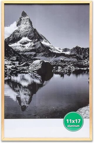 TheDisplayGuys - Contemporary Aluminum Picture Frame - Tempered Glass - 11x17 Tall Poster - Gold - Wall Hanging in Kuwait