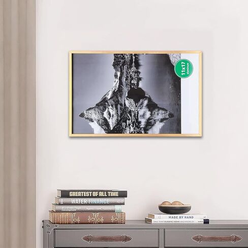 TheDisplayGuys - Contemporary Aluminum Picture Frame - Tempered Glass - 11x17 Tall Poster - Gold - Wall Hanging in Kuwait